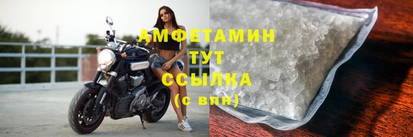 крисы Бронницы