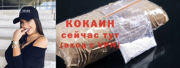 спиды Бородино