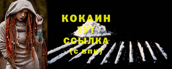 крисы Бронницы
