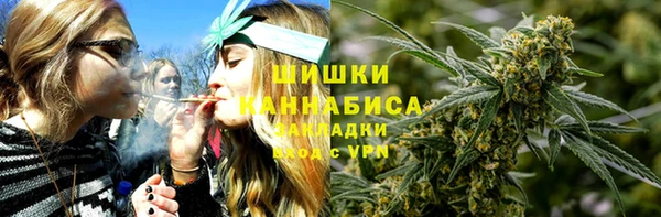 крисы Бронницы