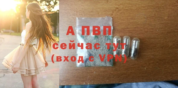 спиды Бородино