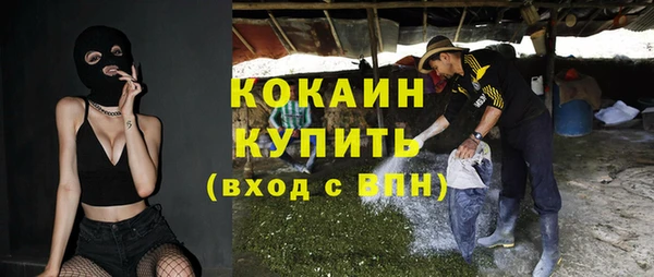 спиды Бородино