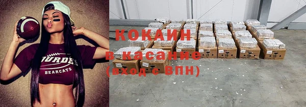 крисы Бронницы