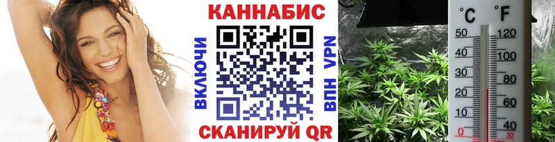 Конопля LSD WEED  сайты даркнета как зайти  Качканар 
